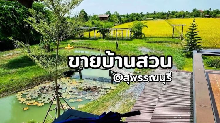 ขายบ้านสวน  1 ไร่ 15 ตรว.