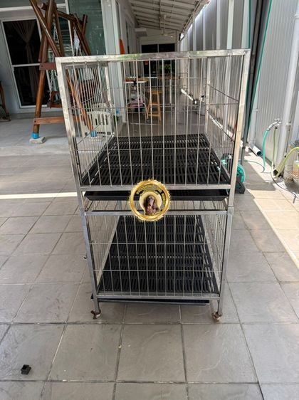 กรงสแตนเลส มือ 2 (ติดจอง) รูปที่ 3