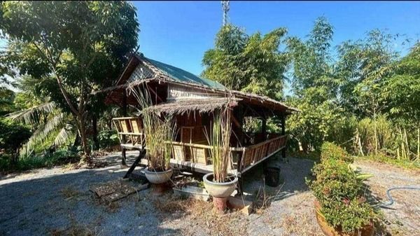 L902 ขายสวนสวยพร้อมบ้านพัก 335 ตรว แปลงมุม ติดถนน 2 ด้าน ไทรน้อย นนทบุรี ร รูปที่ 3