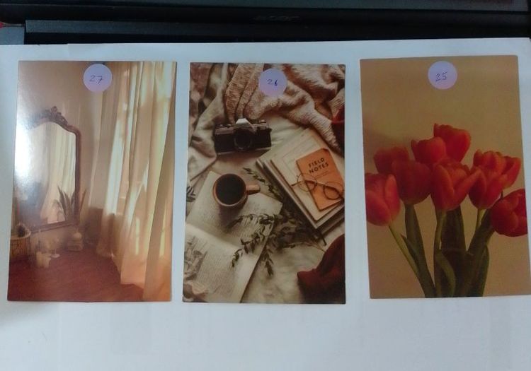 โป๊สการด์แนวศิลปะ รูปที่ 10