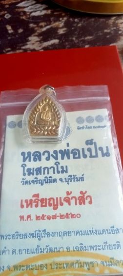 เหรียญเจ้าสัว หลวงปู่เป็น วัดเจริญนิมิต รูปที่ 3