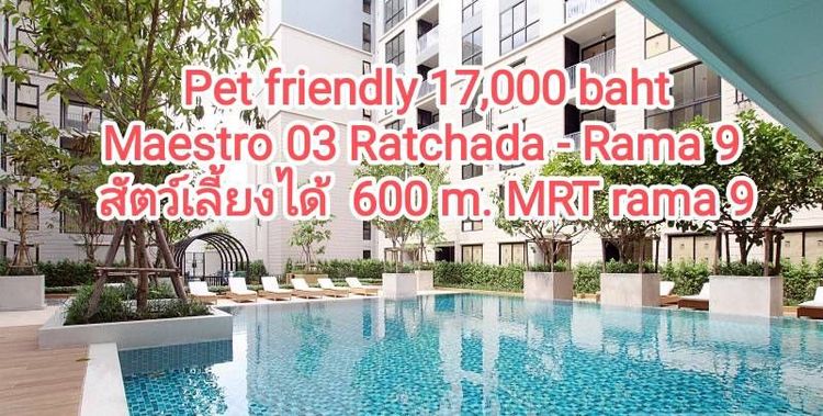 เลี้ยงสัตว์ได้ ตกแต่งครบ 🐶🐱 Pet-Friendly Condo, Maestro 03 Ratchada - Rama 9, 600 m to MRT Rama 9, THB 17,000/m.