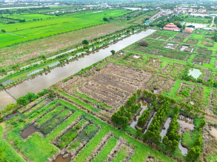 ใช่ 📍ขายที่ดิน พิกัดโซนลาดกระบัง-สนามบินสุวรรณภูมิ (ใกล้สยาม พรีเมี่ยม เอาท์เล็ทเพียง 3 กม.) รูปที่ 2