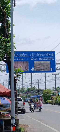 ใช่ ขายที่ดินทำเลทอง 323 ไร่ รูปที่ 3