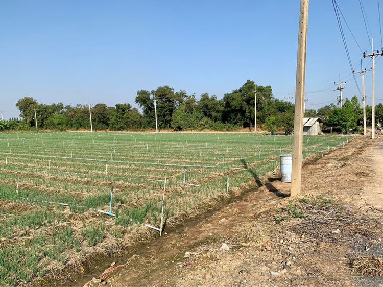 ที่ดินผืนใหญ่ทำเลดี10ไร่ โฉนดครุฑแดงพร้อมโอน ใกล้เทศบาลวังศาลา ท่าม่วง เข้าออกได้หลายทาง ติดถนนสาธารณะ ใกล้ทางด่วนM81 วิวสวย บรรยากาศดี รูปที่ 2