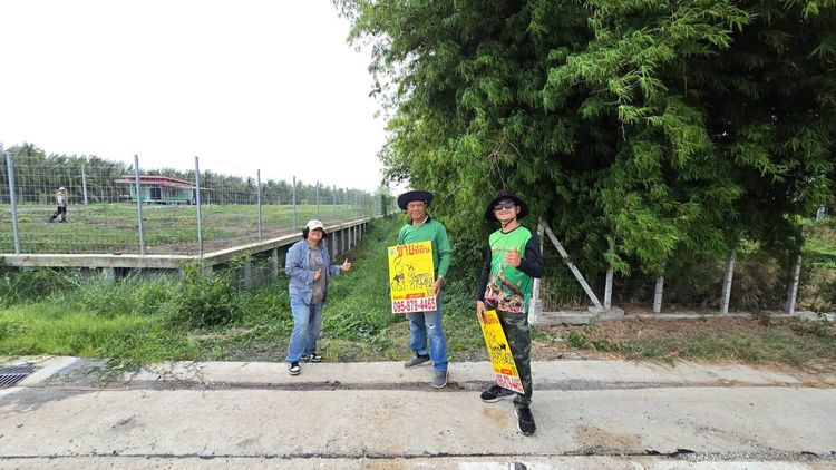 ขายด่วน ที่ดินผังม่วง 8 ไร่ ติดถนนสาธารณะ ไทรใหญ่ ไทรน้อย นนทบุรี