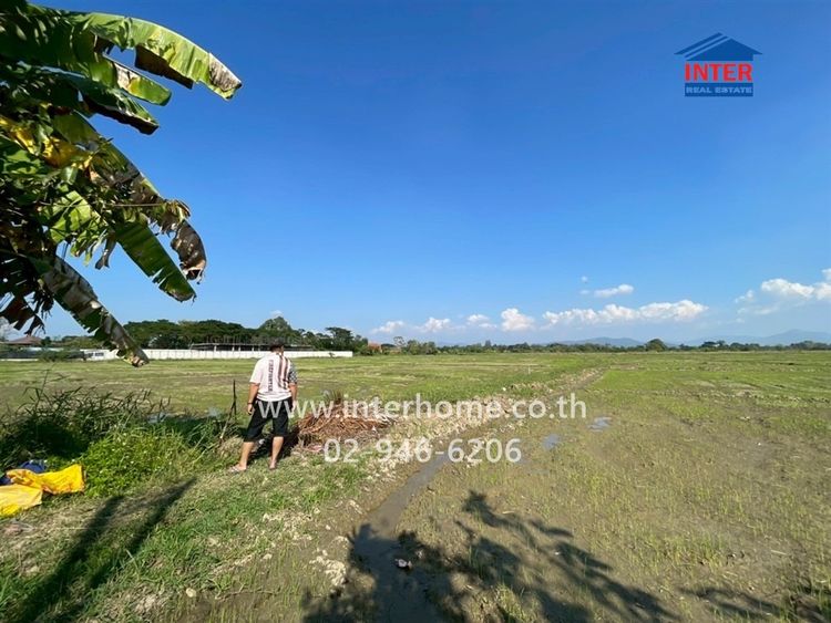 ที่ดินเปล่า 22 ไร่ 15 ตร.ว. ที่ดิน ใกล้วัดสันกำแพง ถนนเชียงใหม่-สันกำแพง ถนนเชียงใหม่-สันกำแพง สันกำแพง เชียงใหม่ รูปที่ 4