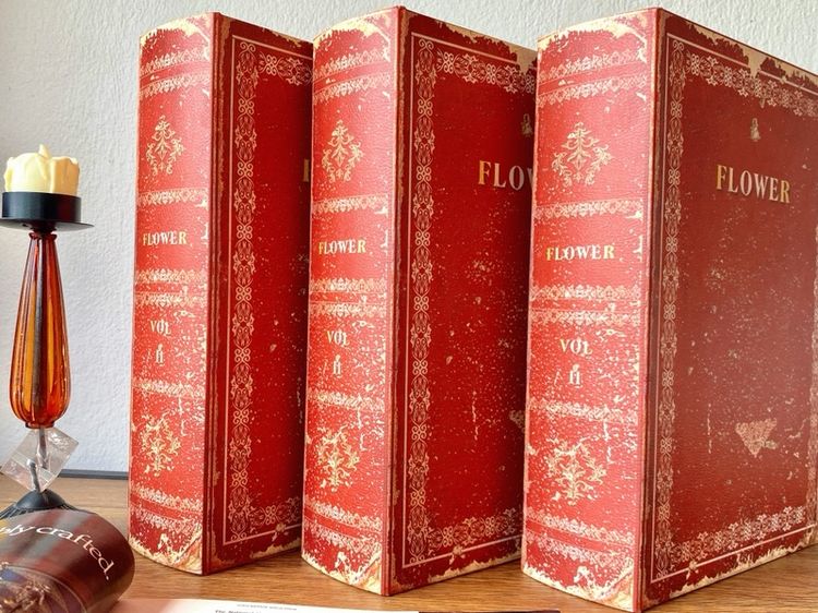 กล่องหนังสือ รูปที่ 3