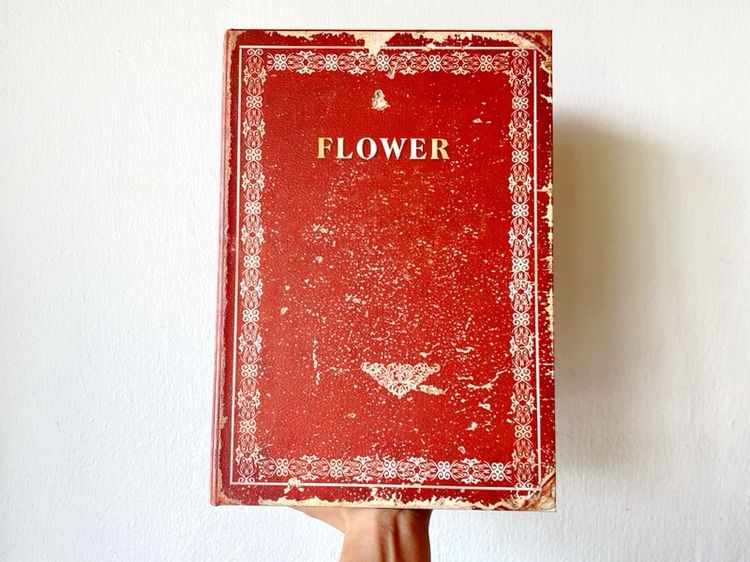 กล่องหนังสือ รูปที่ 7