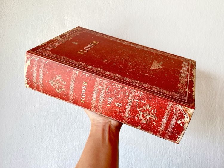 กล่องหนังสือ รูปที่ 5