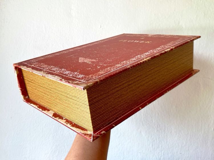 กล่องหนังสือ รูปที่ 6