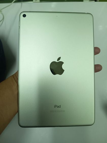 Apple 256 GB ไอแพดมินิ5wifi
