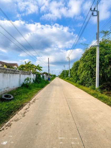 ไม่ใช่ ขายที่ดิน200ตรว. รูปที่ 4