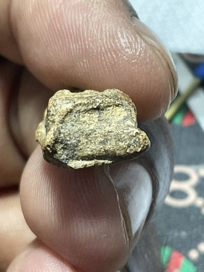 พระรอดมหาวัน รูปที่ 6