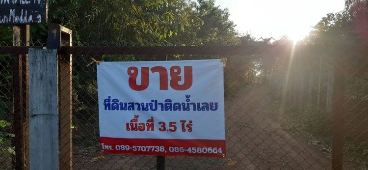 ขายบ้านสวนป่าติดน้ำเลย(น้ำไม่ท่วม) รูปที่ 4