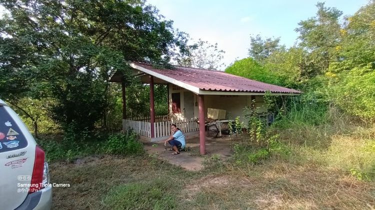 ยังขายอยู่นะครับ บ้านสวนพร้อมที่ดิน จ.หนองคายครับ อยู่ในเขต บ้านหนองสองห้อง อ.เมือง หมู่ 8 เนื้อที่ 2 ไร่ 3.3 ตร.ว ติดทางสาธารณะ 2 ด้านเลย