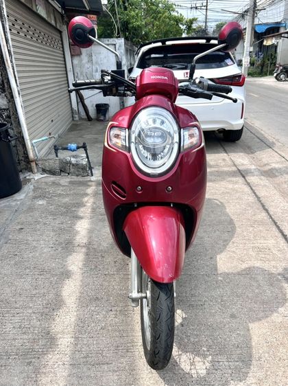 Honda Scoopy i 2019 ภาษี69ไมล์21733โล