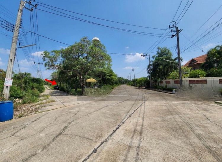 ที่ดินเปล่าไทรน้อย