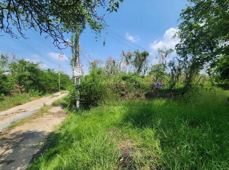 ที่ดินเปล่าไทรน้อย รูปที่ 2