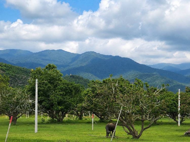 ที่ดินวิวเขา ผ่อนได้ ไม่ต้องดาวน์ โฉนดครุตแดง รูปที่ 3