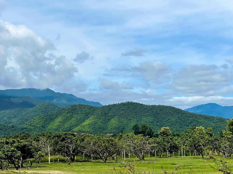 ที่ดินวิวเขา ผ่อนได้ ไม่ต้องดาวน์ โฉนดครุตแดง รูปที่ 4