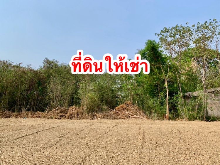 ให้เช่าที่ดินเปล่า ทำเลทอง อยู่หลังปั๊มPT เนื้อที่1ไร่กว่า ทำเลดี แหล่งชุมชน ติดวัดตะคร้ำเอน