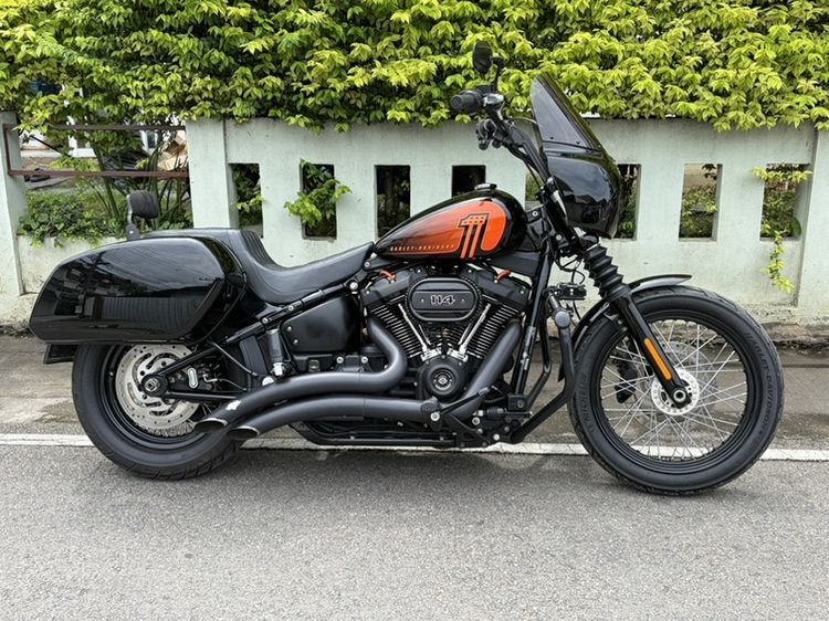 Harley street bob 2021