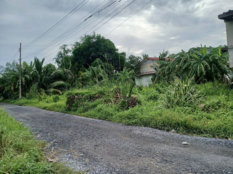 ใช่ ขายที่ดิน เลียบวารี79 หนองจอก รูปที่ 2