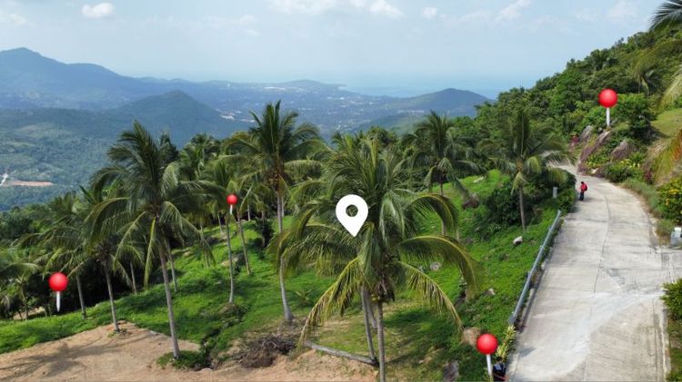 ใช่ ขายที่ดินบนเกาะสมุยวิวทะเลวิวภูเขา รูปที่ 4