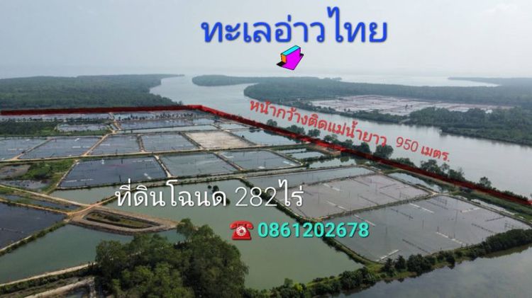 ขายที่ดิน282ไร่ติดแม่น้ำติดทะเล รูปที่ 3