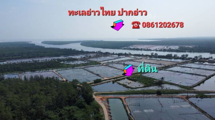 ขายที่ดิน282ไร่ติดแม่น้ำติดทะเล