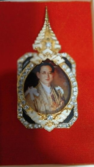 เข็มกลัดพระบรมฉายาลักษณ์รัชกาลที่ 9