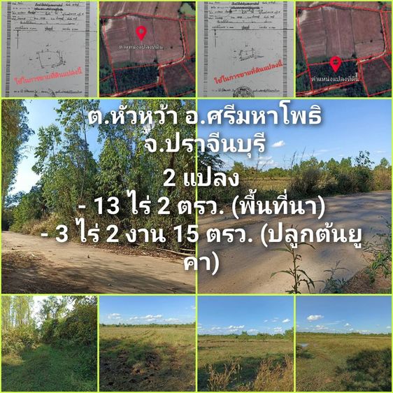 ขายที่ดิน ต.หัวหว้า อ.ศรีมหาโพธิ จ.ปราจีนบุรี