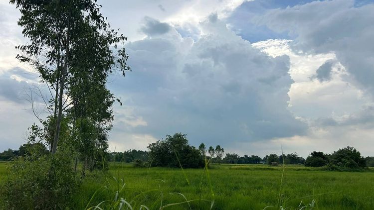 ขายที่ดิน ต.หัวหว้า อ.ศรีมหาโพธิ จ.ปราจีนบุรี รูปที่ 4