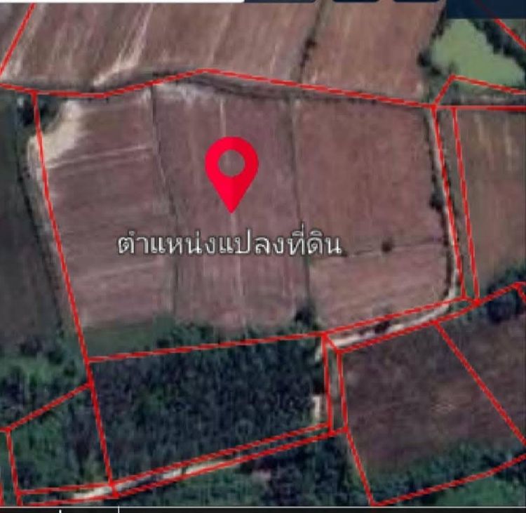 ขายที่ดิน ต.หัวหว้า อ.ศรีมหาโพธิ จ.ปราจีนบุรี รูปที่ 2