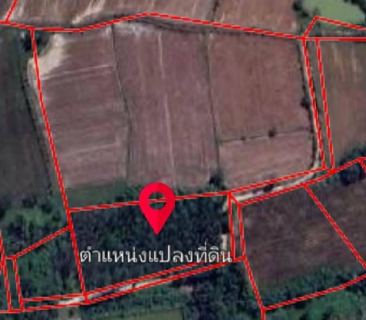ขายที่ดิน ต.หัวหว้า อ.ศรีมหาโพธิ จ.ปราจีนบุรี รูปที่ 3