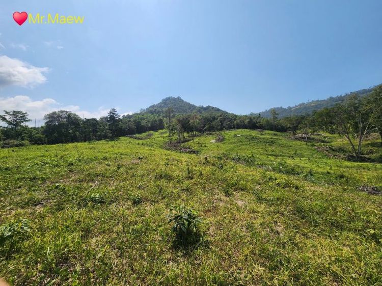 ใช่ ที่ดินเกาะสมุยวิวทะเลบางส่วน24ไร่ รูปที่ 4