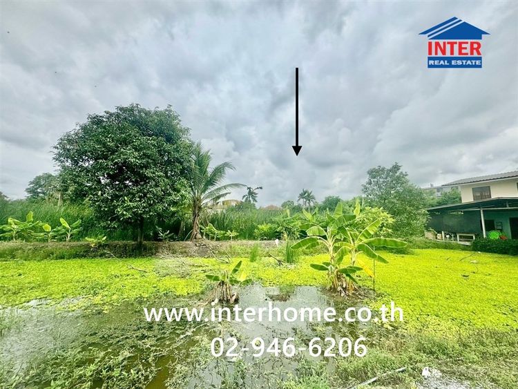 ที่ดินเปล่า 200 ตร.ว. ที่ดิน ติดเอื้ออาทรนนทบุรี ซอยกันตนา ถนนกาญจนาภิเษก ถนนซอยกันตนา บางใหญ่ นนทบุรี