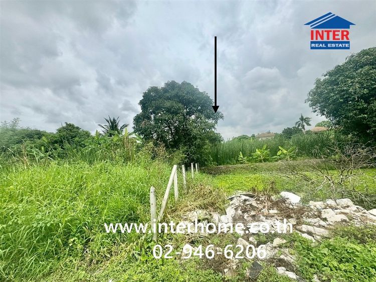 ที่ดินเปล่า 200 ตร.ว. ที่ดิน ติดเอื้ออาทรนนทบุรี ซอยกันตนา ถนนกาญจนาภิเษก ถนนซอยกันตนา บางใหญ่ นนทบุรี รูปที่ 3