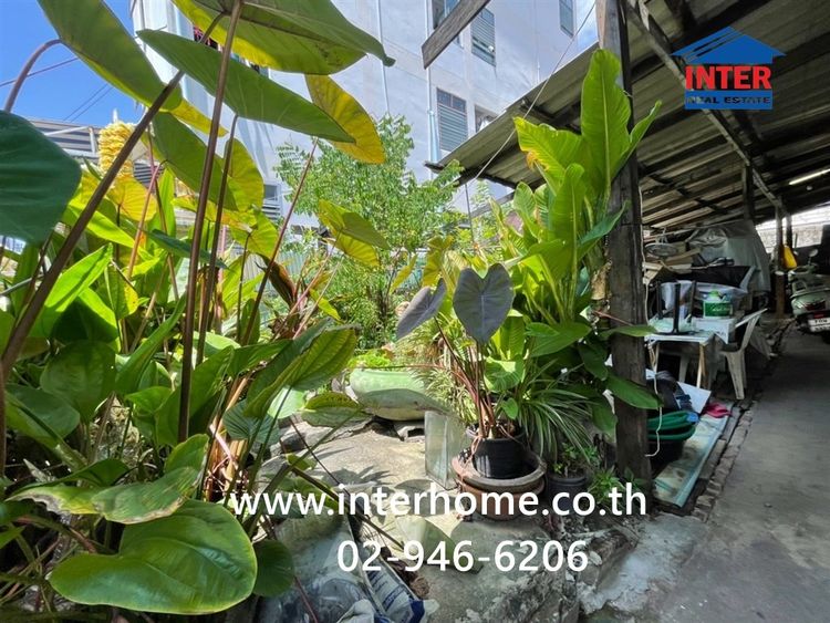 บ้าน + ห้องเช่า 2 ชั้น 59 ตร.ว. บ้าน + ห้องเช่า ใกล้เดอะมอลล์บางกะปิ ซอยลาดพร้าว132 ถนนลาดพร้าว เขตบางกะปิ กรุงเทพมหานคร รูปที่ 4