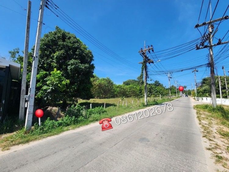 ใช่ ขายที่ดินในเกาะสมุยใกล้หาดเฉวง5นาที รูปที่ 3