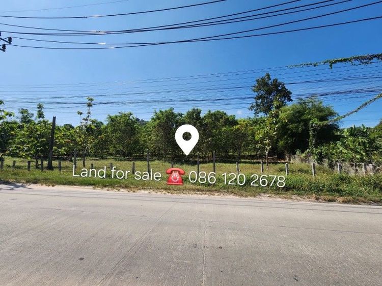 ขายที่ดินในเกาะสมุยใกล้หาดเฉวง5นาที