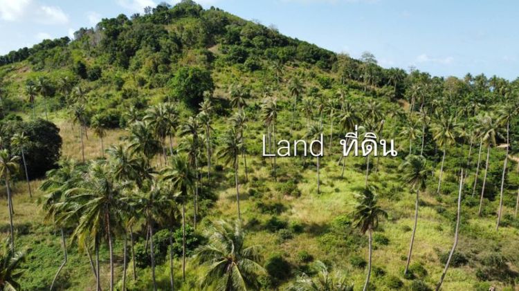 ใช่ ขายที่ดินแปลงสวยในเกาะสมุยโซนเฉวงบ่อผุด รูปที่ 2