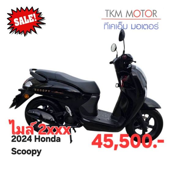 ขายด่วน honda scoopy ปี 2024