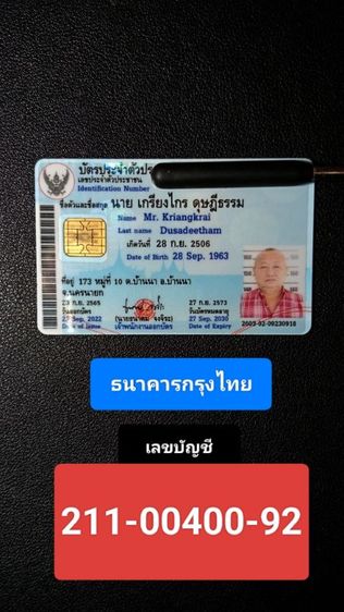 หมูป่าขนาดใหญ่เขี้ยวครบล่างบนสภาพเยี่ยม รูปที่ 16