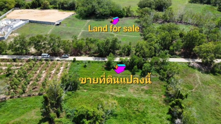 ใช่ ขายที่ดินในเกาะสมุยโซนลิปะน้อย รูปที่ 4