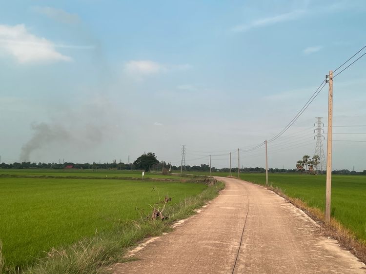 ไม่ใช่ ที่ดินริมน้ำบางปะกง ขนาด 51 ไร่ ทำเลศักยภาพ จ.ฉะเชิงเทรา (เขต EEC) รูปที่ 2
