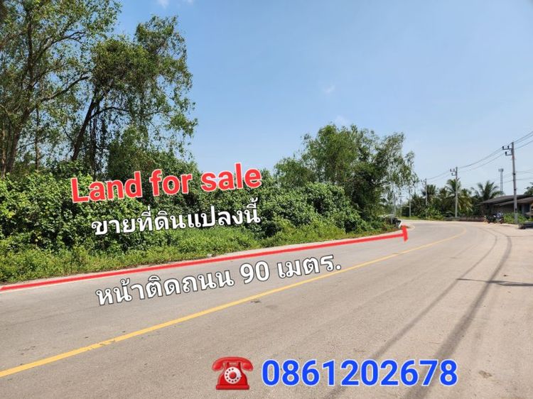 ใช่ ขายที่ดินแปลงใหญ่ในสุราษฎร์ธานี