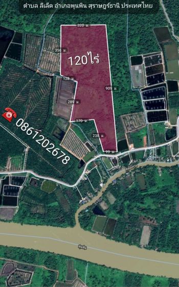 ใช่ ขายที่ดินแปลงใหญ่ในสุราษฎร์ธานี รูปที่ 3