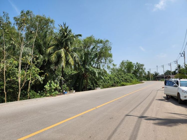 ใช่ ขายที่ดินแปลงใหญ่ในสุราษฎร์ธานี รูปที่ 4